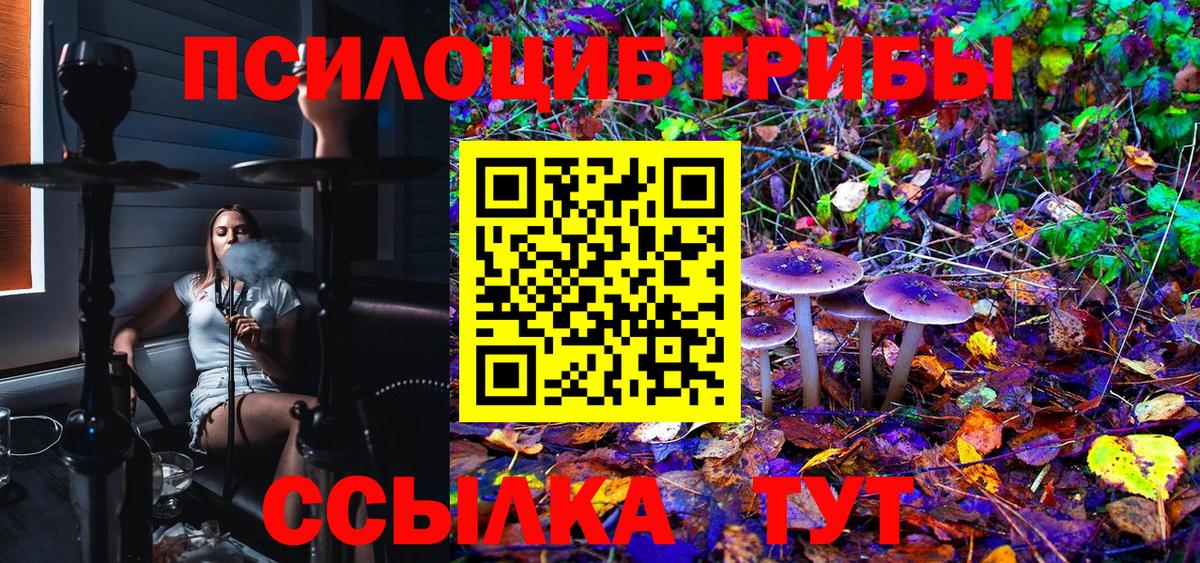 Псилоцибиновые грибы Cubensis Ржев