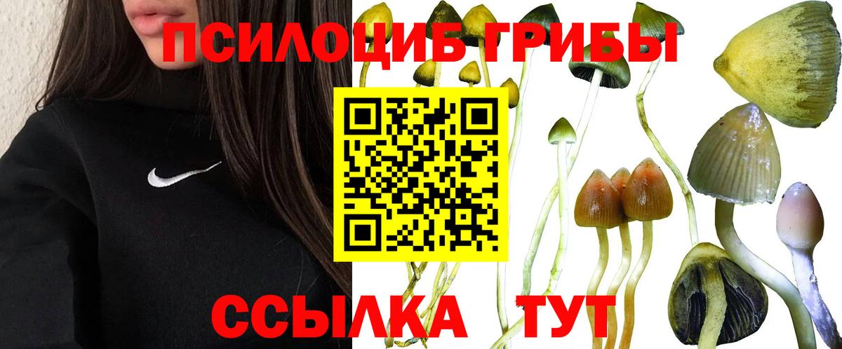 Псилоцибиновые грибы Psilocybine cubensis  Вход с VPN  Псилоцибиновые грибы мицелий  Ржев 